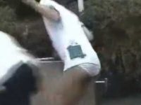 いきなりズボン下ろしパンツ丸出し！追いかけたくても直してる間に逃げられる